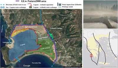 Status and Distribution of Waterbirds in a Natura 2000 Area: The Case of Gialova Lagoon, Messinia, Greece